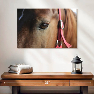 Œil de cheval brun