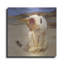 «Eye On Butterfly V» par Diane Hoeptner-962331086