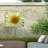 Canvas Plants & Flowers Wall Decor-98044475