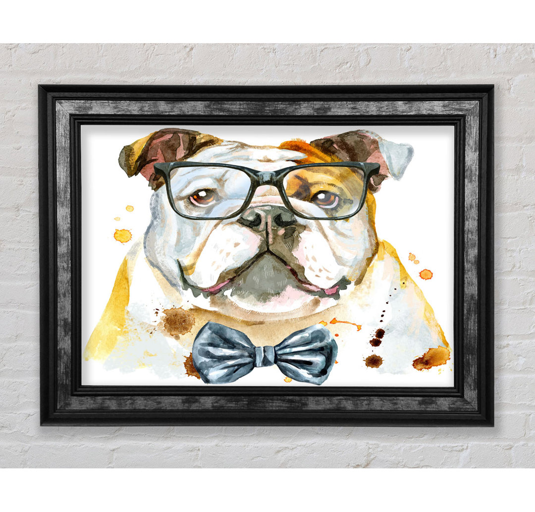 Die Bulldogge mit Brille - Einzelner Bilderrahmen Kunstdrucke