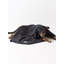 Tapis pour animaux Bangor Rose Paw-1148924691