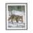 Canada Lynx