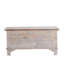 Alcott Blanket Chest