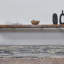 Tapis gris anthracite noué à la main Kyya-203504362