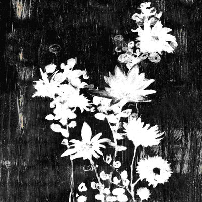Impression sur toile tendue, noir et blanc