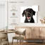 Crowle, adorable chiot-111888393