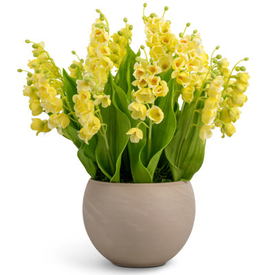 Cora RealTouch Muguet Arrangement