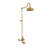 Exposed Thermostatic Shower System 36" Wall Mounted with 1.75 GPM Spout and Lever/Cross Handles-99212170