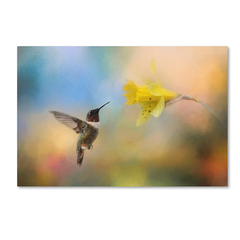 «Garden visiteur», impression sur toile tendue Vidur, H 30 po x l 47 po