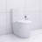 Elongated One Piece Toilet White