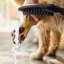 Outdoor Pet Shower Set, 3-Spray, 1.75 GPM-68812322