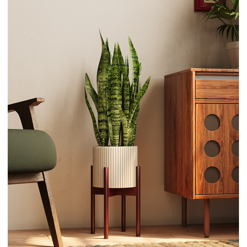 8-12" Adjustable Bamboo Plant Stand - Single-Tier Reddish Indoor Planter Holder, Brown
