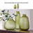 Steave Glass Table Vase