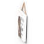 Vivid Squid Wholesale Animals Box Signs & Plaques