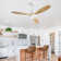 Motasim 52'' Ceiling Fan with LED Lights