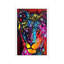 Young Lion by Dean Russo - Floater Frame Print on Canvas-1188340205-1188340202