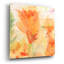 «Windblown Poppies # 2» par Sheila Golden-666822398