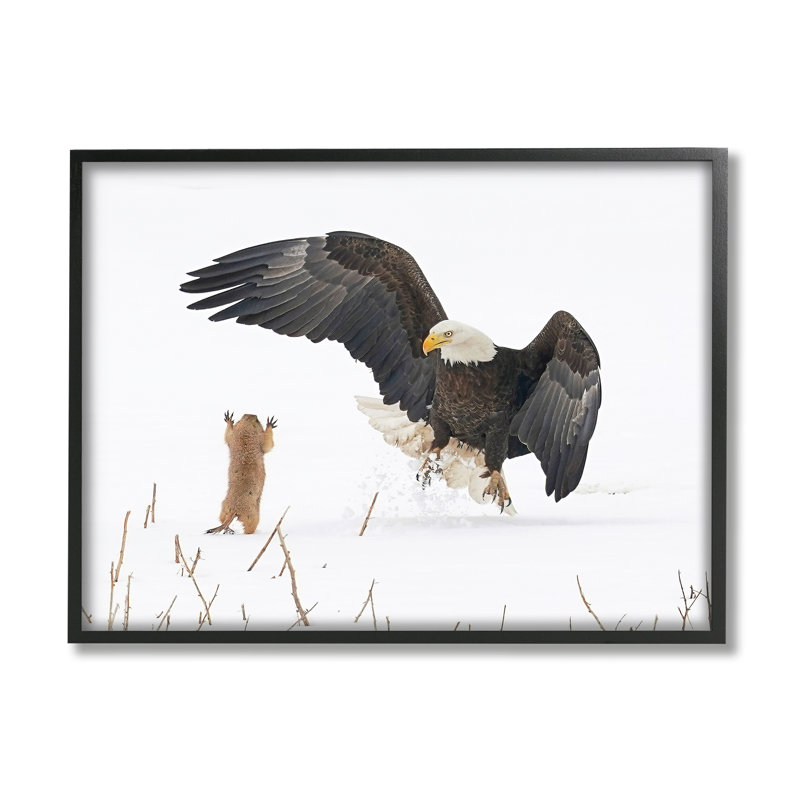 «Ba-405», reproduction de chien de prairie et d'aigle encadrée sur bois par Arthur Trevino, H 16 po x l 20 po x P 1,5 po