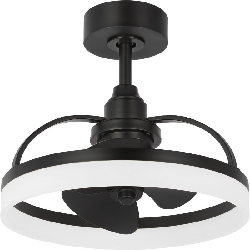 Shear 19'' Ceiling Fan with LED Lights, Matte Black