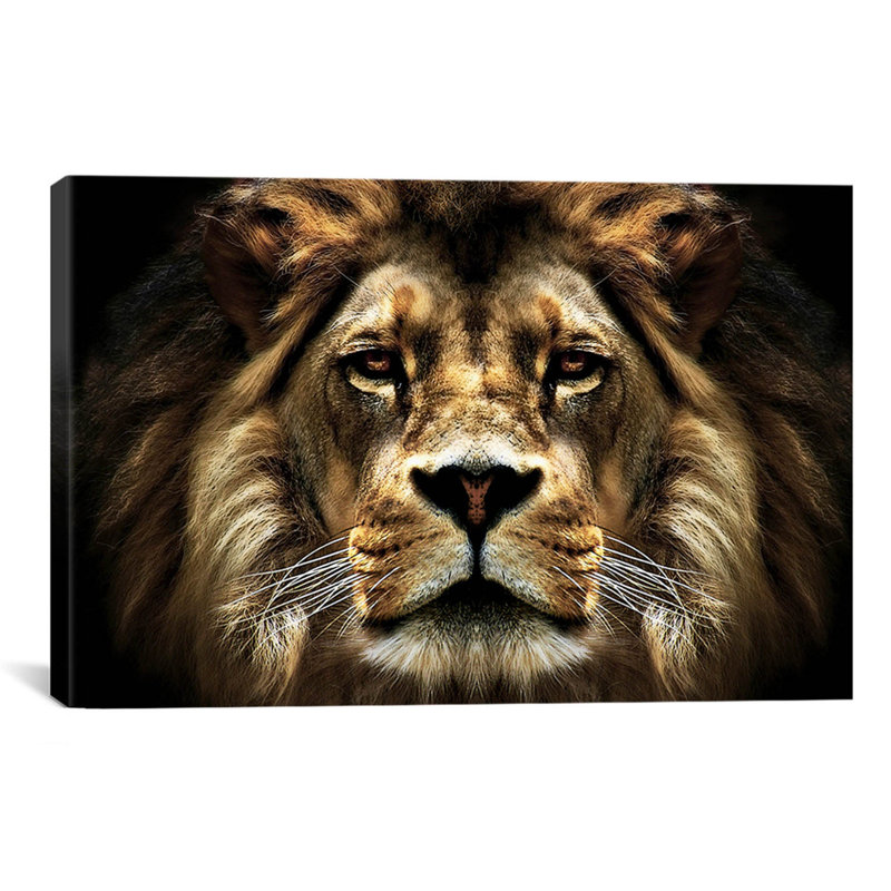 «The Lion», reproduction de photo, Toile, H 12 po x l 18 po x P 1,5 po