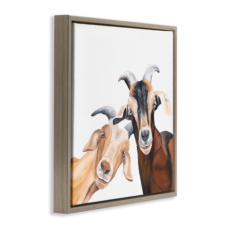 Chèvre heureuse, animaux souriants, H 18 po x l 18 po, Cadre flottant orme Montalcino