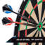 Jeu de fléchettes Volt Bristle