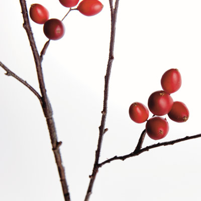 ROSEHIP BRANCH 43inch