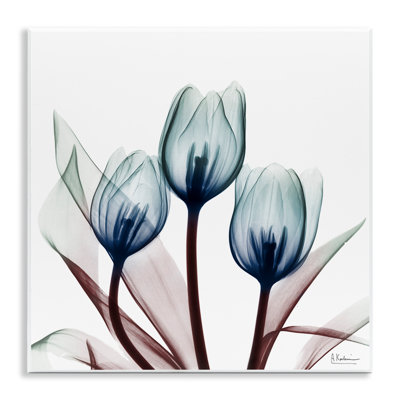 Chic Blue Translucent Tulips Wall Plaque, design by Albert Koetsier
