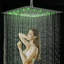 Aife Rain Adjustable Shower Head