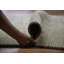 Tapis tribal vert Gabbeh