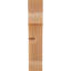 Corbeau méditerranéen-829457876-829457905-829457910