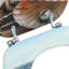 Deshields Elongated Standard Toilet Seat