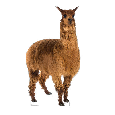 Accroche en carton llama