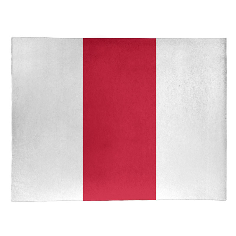 Chenille Indoor Rug, Rectangle 4' x 6'
