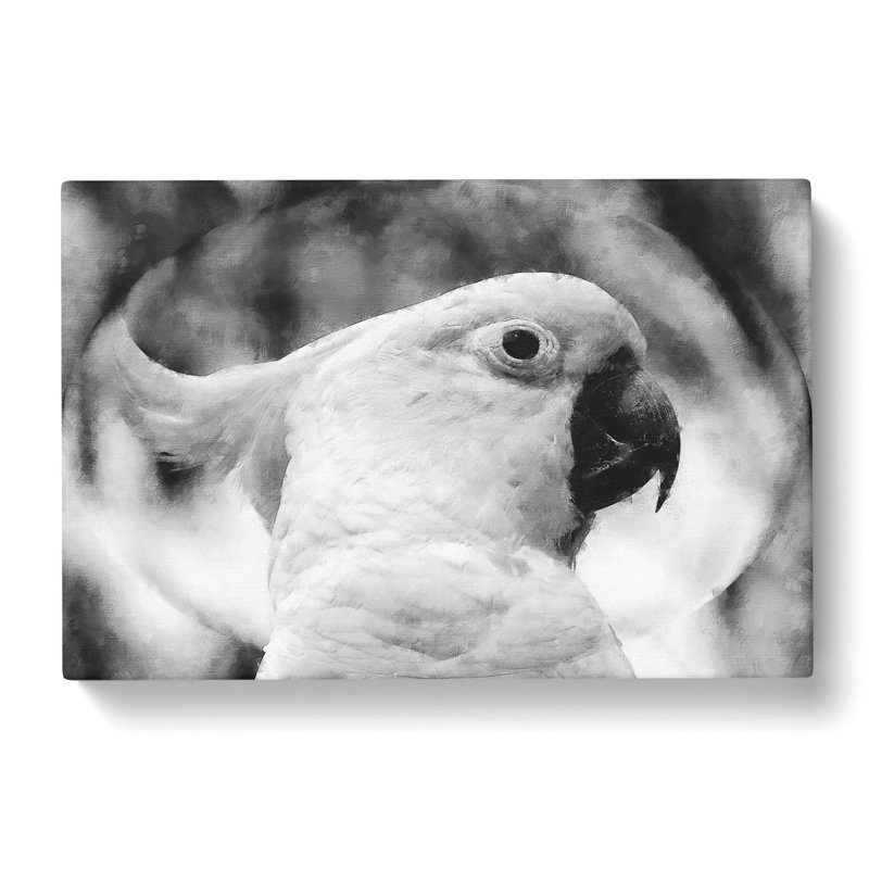 Cockatoo Bird Vol.2 - Wrapped Canvas Photograph - Wrapped Canvas, 35cm H x 50cm W x 3cm D