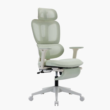 https://assets.wfcdn.com/im/02276109/resize-h380-w380%5Ecompr-r70/2516/251675903/Kyiesha+Ergonomic+Mesh+Task+Chair+with+Headrest.jpg