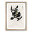 Jungle Nightjar Birds by Numata Kashu - Framed Print-55767509-55767510