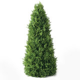 22'' Faux Pine Tree