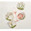 Orchid Coaster Set in a Gift Bag