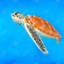 Imprimé mat encadré bord de mer chambre de tortue de mer | Décoration intérieure