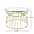 Serrena Golden Coffee Table