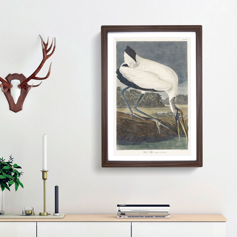Wood Stork by John James Audubon - Framed Print, 65cm H x 48cm W x 2cm D, Walnut Framed