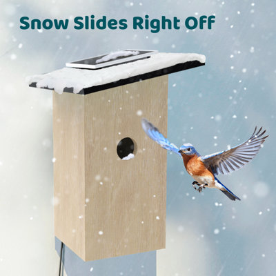 Nichoirs d'oiseaux intelligents pour l'extérieur, Birdfy