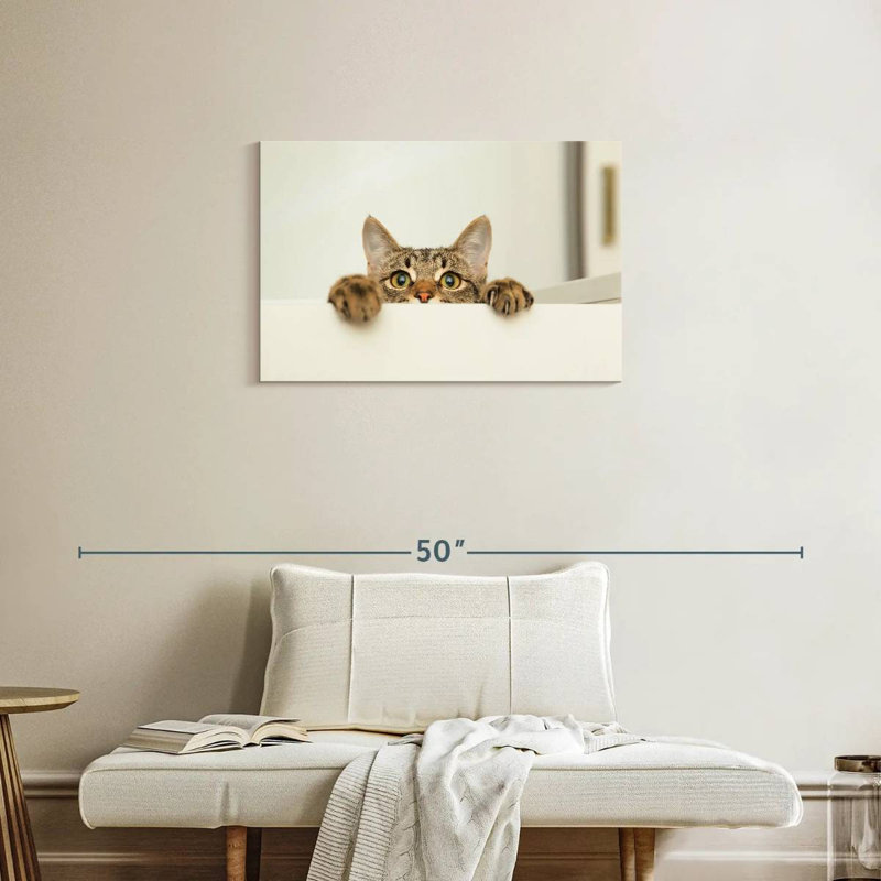 Peeking Young Cat, 20" H x 30" W
