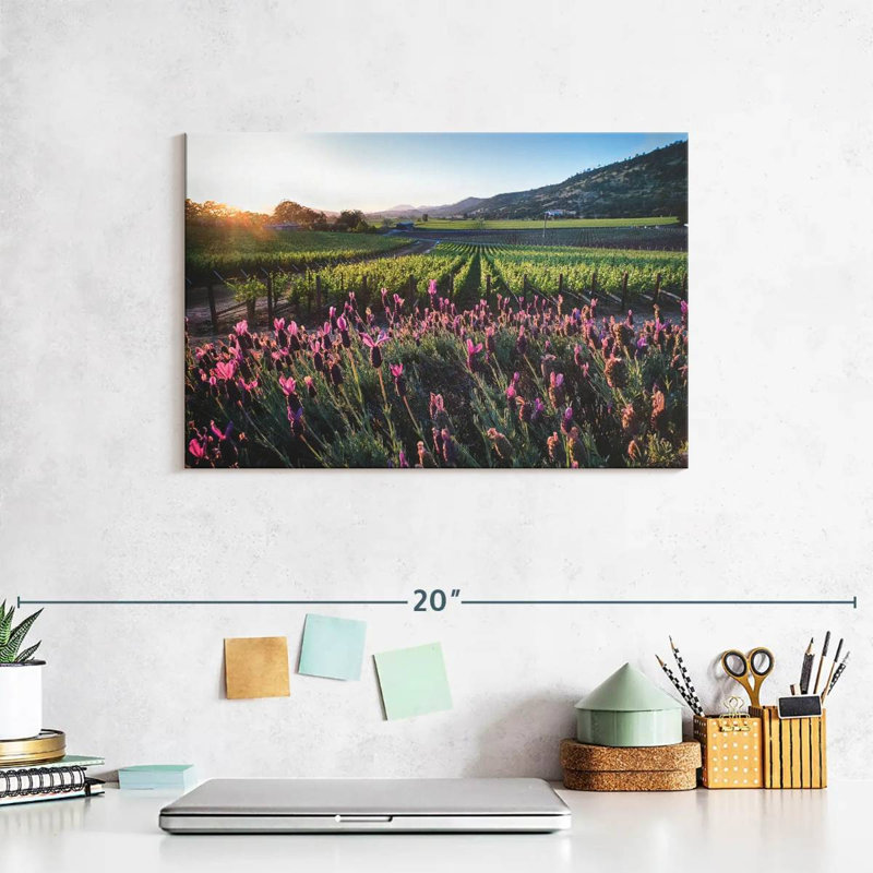 Alvord Napa Valley, vignes et fleurs, H 8 po x l 12 po