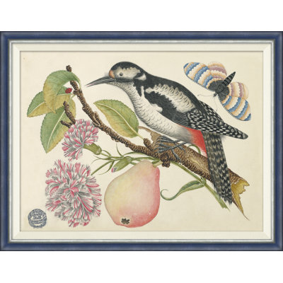 18e siècle, Bouquets de fleurs avec oiseaux - peinture à cadre unique