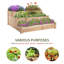 Vertical Garden