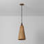 Troy Lighting Kenzo 8.5 inch wide 1 Light Pendant in Bronze Leaf