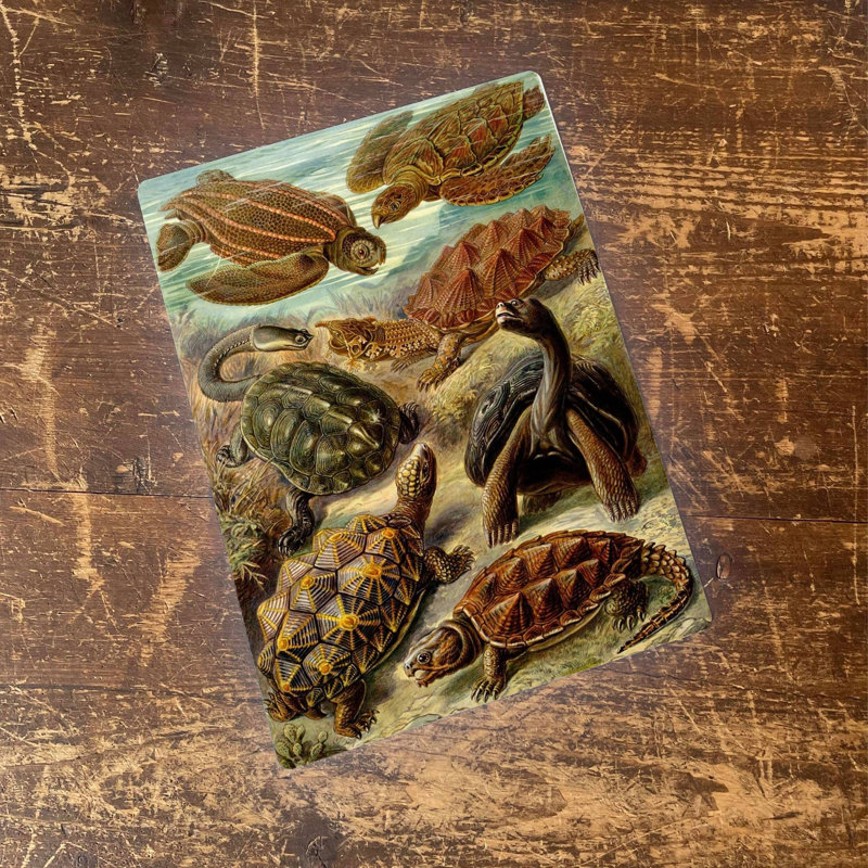 Handmade Wall Decor on Metal, 20cm H x 15cm W