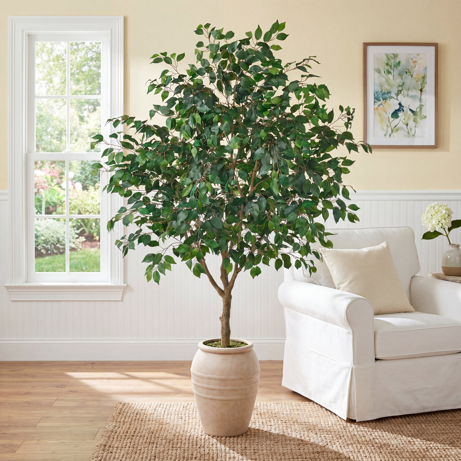 Nydia Ficus Tree in Pot,  96" x 56"